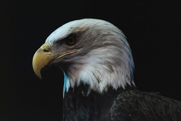Ee0C666C E68E 425D 8Df4 110Ce1364742